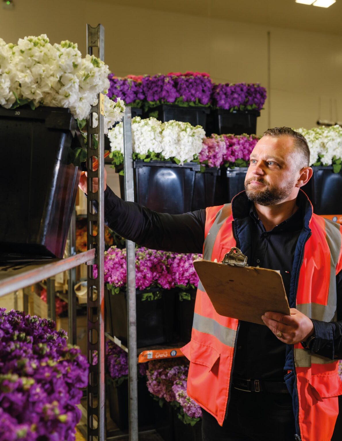 Our Culture JZ Flowers