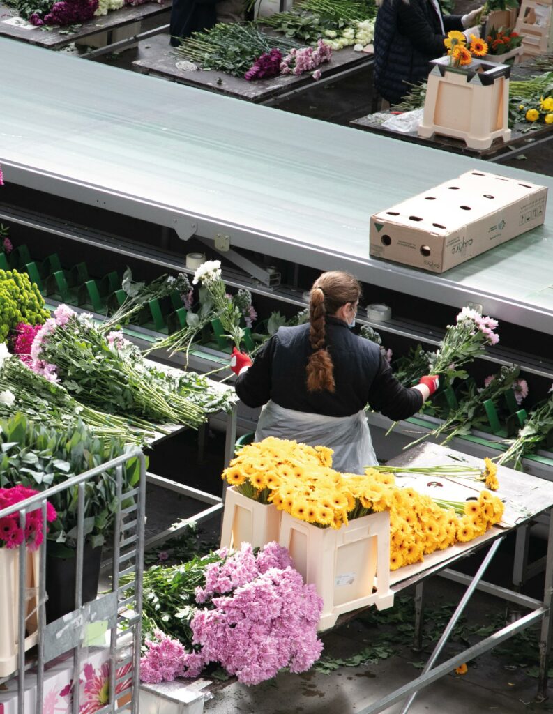 flower-packing