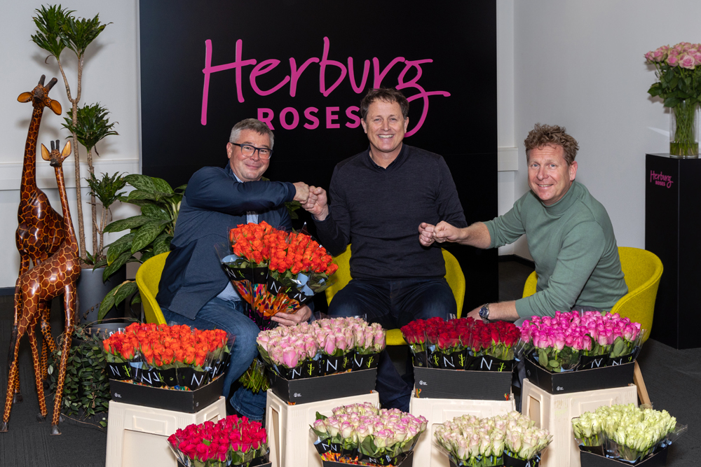 Our Relationship with Nini Herburg Roses